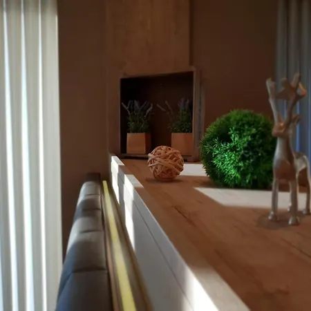 호텔 Clemenswerther Hof 소겔